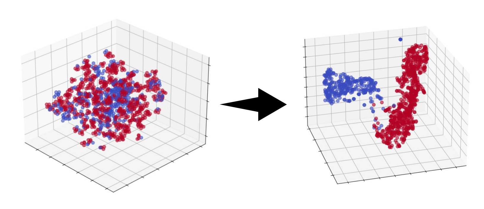 image-20250912115543255