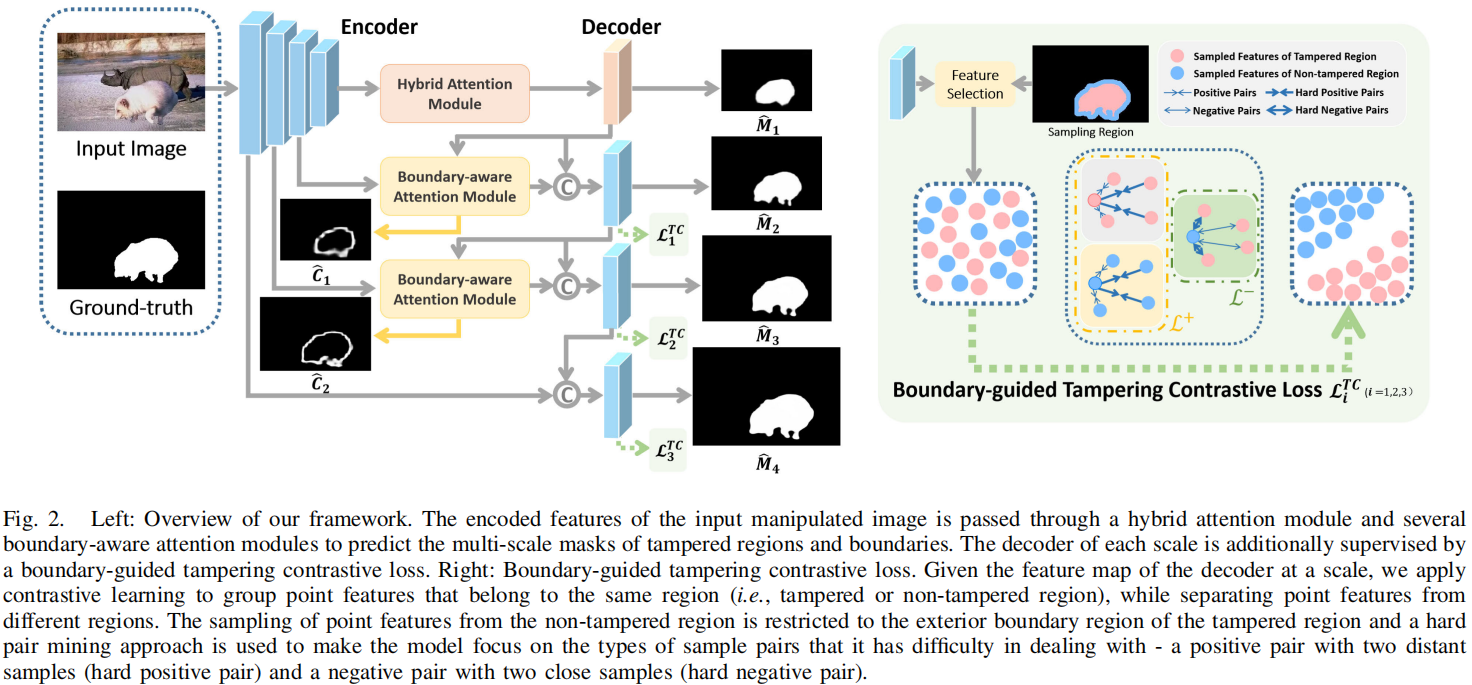 Attentive and Contrastive Image Manipulation Localization With Boundary Guidance