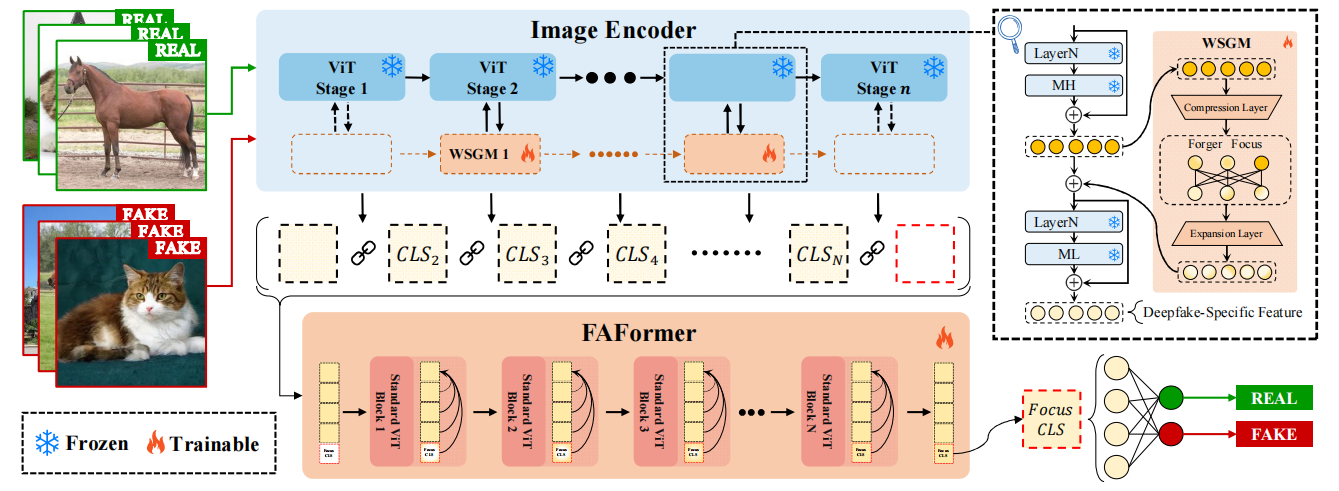 ForgeLens:Data-Efficient Forgery Focus for Generalizable Forgery Image Detection