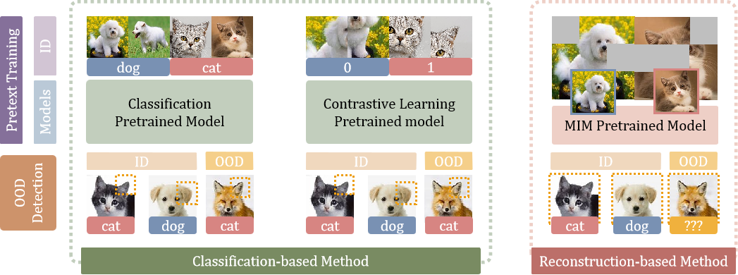 Rethinking Out-of-distribution (OOD) Detection:Masked Image Modeling is All You Need