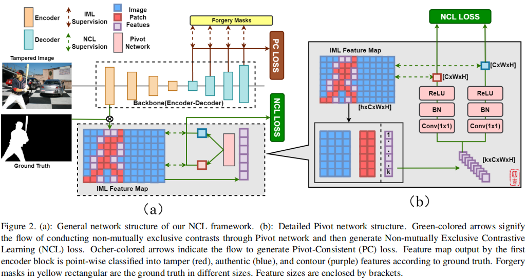 Pre-training-free_Image_Manipulation_Localization_through_Non-Mutually_Exclusive_Contrastive_Learning