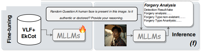 image-20251215154023648